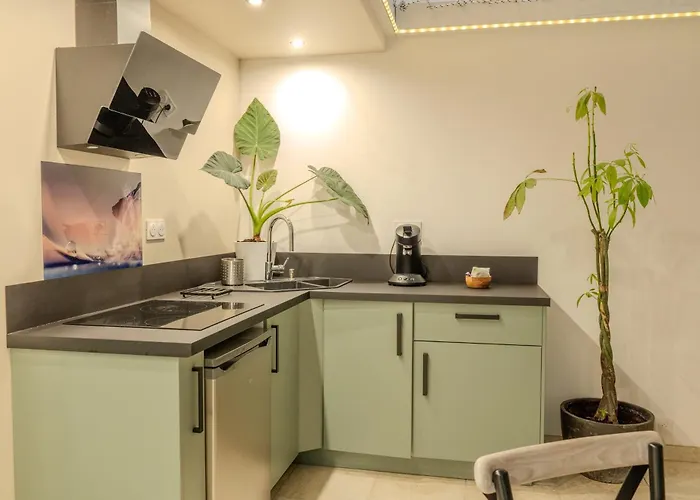 아파트 Espace Evasions Loft Kis